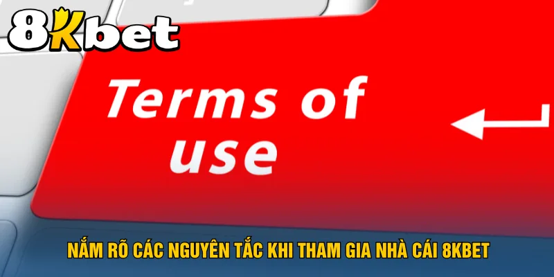 nam-ro-cac-nguyen-tac-khi-tham-gia-nha-cai-8kbet